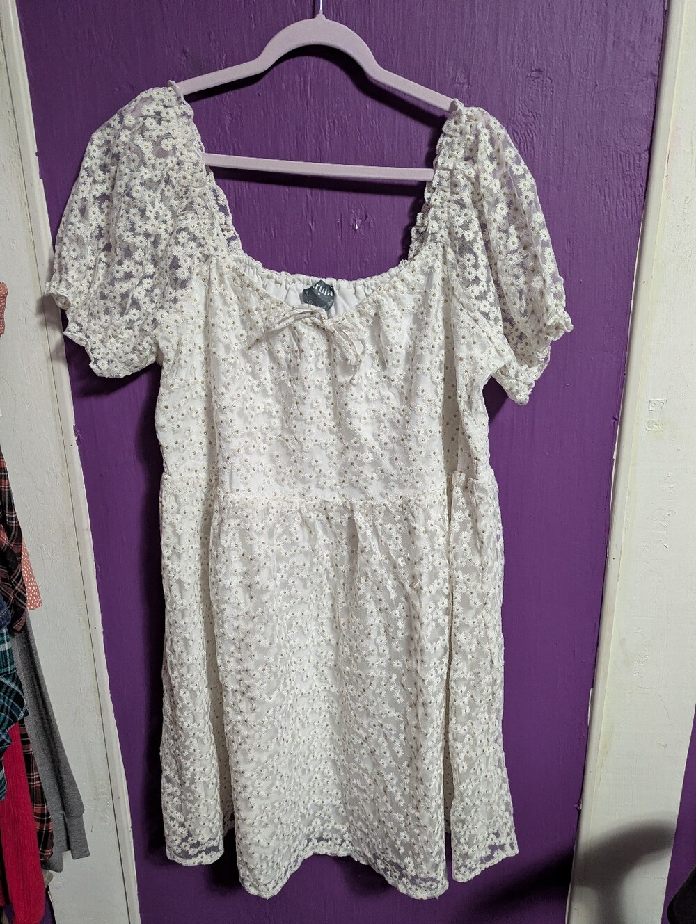 NWOT ARULA White Gold Daisy Embroidered Short Sheer Sleeve Midi Dress 2X 18 20